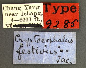 Media type: image; Entomology 9285   Aspect: labels